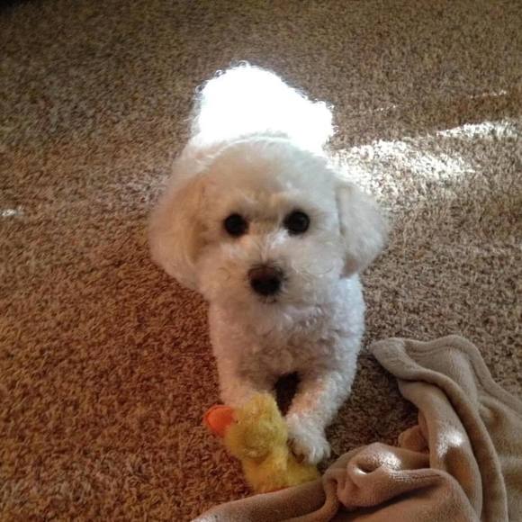 Meet your Posher, Scott - Picture 1 of 1